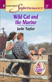 Cover of: Wild Cat and the Marine: A Little Secret (Harlequin Superromance No. 1156)