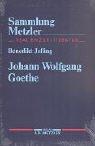 Cover of: Johann Wolfgang Goethe by Benedikt Jessing