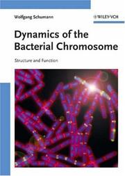 Cover of: Dynamics of the Bacterial Chromosome by Wolfgang Schumann
