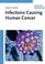 Cover of: Infections Causing Human Cancer