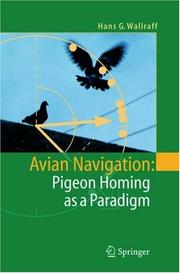 Cover of: Avian navigation: pigeon homing as a paradigm