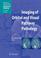 Cover of: Imaging of Orbital and Visual Pathway Pathology (Medical Radiology / Diagnostic Imaging)