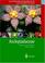 Cover of: Illustrated Handbook of Succulent Plants