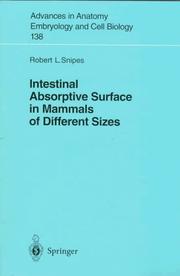 Cover of: Intestinal absorptive surface in mammals of different sizes by Robert L. Snipes