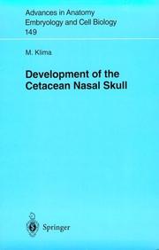 Cover of: Development of the cetacean nasal skull