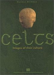Cover of: Kelten/Celts: Bilder Ihrer Kultur/Images of Their Culture