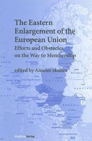 Cover of: The Eastern Enlagement of the European Union: Efforts and Obstacles on the Way to Membership