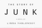 Cover of: The story of junk: a novel