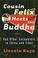 Cover of: Cousin Felix Meets the Buddha