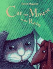 Cover of: Cat and Mouse in the Rain by Tomek Bogacki