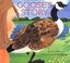 Cover of: Goose's story