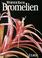 Cover of: Bromelien