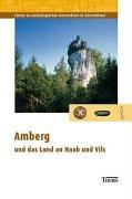 Cover of: Amberg und das Land an Naab und Vils by mit Beiträgen von Andreas Boos ... [et al.].