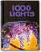 Cover of: 1000 Lights, Vol. 1