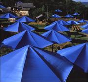 Cover of: The Umbrellas by Christo, Jeanne Claude