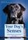 Cover of: Your Dog's Senses