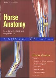 Cover of: Horse Anatomy: Easy-to-Understand and Comprehensive (Cadmos Horse Guides)