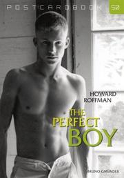 Cover of: The Perfect Boy by Howard Roffman