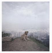 Cover of: Alec Soth: Dog Days Bogota