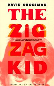 Cover of: The Zigzag Kid: A Novel