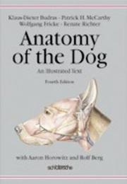 Cover of: Anatomy of the Dog by Klaus-Dieter Budras, Wolfgang Fricke, Renate Richter, Rolf Berg, Aaron Horowitz, Patrik Mccarthy