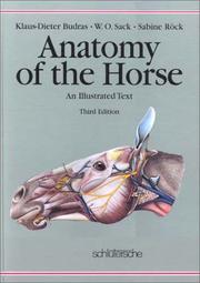 Cover of: Anatomy of the Horse: An Illustrated Text