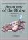 Cover of: Anatomy of the Horse