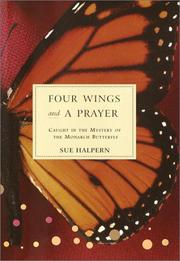 Cover of: Four Wings and a Prayer by Sue Halpern