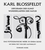 Urformen der Kunst by Karl Blossfeldt