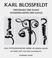 Cover of: Karl Blossfeldt 1865-1932, das fotografische Werk