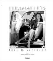 Fleamarkets by Joel D. Levinson