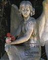 Cover of: Aus Licht und Schatten: Engelbilder
