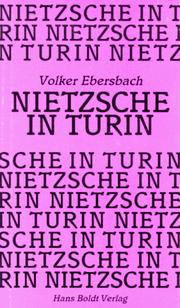 Cover of: Nietzsche in Turin: Erzählung