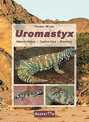 Uromastyx by Thomas Wilms
