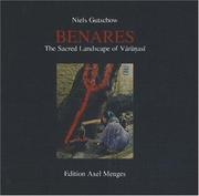 Cover of: Benares by Niels Gutschow
