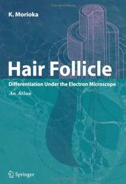 Cover of: Hair Follicle: Differentiation under the Electron Microscope - An Atlas