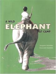 A Wild Elephant At Camp by Anupama Mohorkar