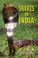 Cover of: Snakes in India