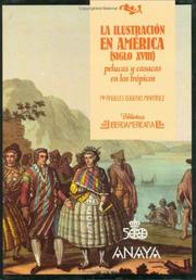 Cover of: Ilustracion En America, La (Biblioteca iberoamericana)