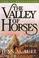 Cover of: The Valley of Horses