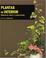 Cover of: Plantas De Interior / The House Plant Expert