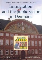 Cover of: Immigration and the Public Sector in Denmark