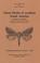 Cover of: Ghost Moths Of Southern South America: Lepidoptera