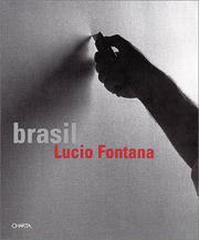 Cover of: Lucio Fontana Brasil
