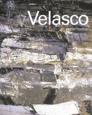 Cover of: Velasco by Pino Corrias, Luca Doninelli, Velasco