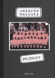 Cover of: Valerio Berruti by Maria Chiara Valacchi, Valerio Berruti