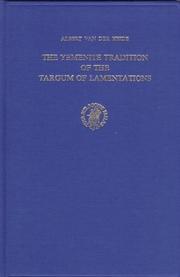 The Yemenite tradition of the Targum of Lamentations by Albert van der Heide