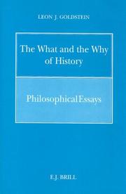 Cover of: The what and the why of history: philosophical essays