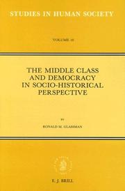 Cover of: The middle class and democracy in socio-historical perspective