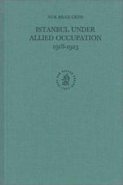 Cover of: Istanbul under allied occupation, 1918-1923